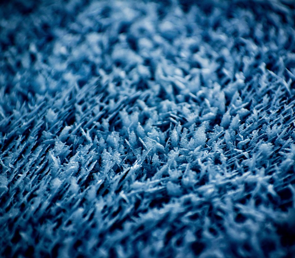 Domestic Carpet Cleaning